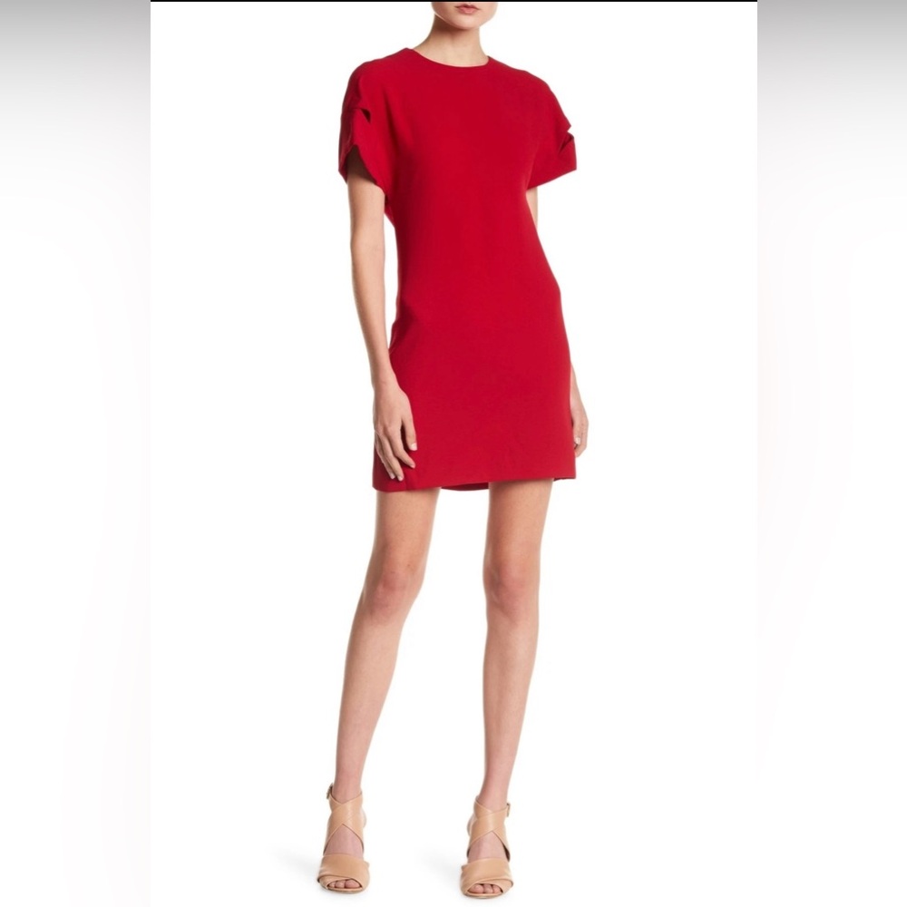 IRO Hilda Short Sleeve V Back Mini Sheath Dress